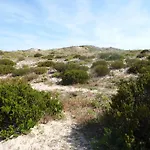 Peniche Blue Wave * 阿通奎亚·达·巴利亚
