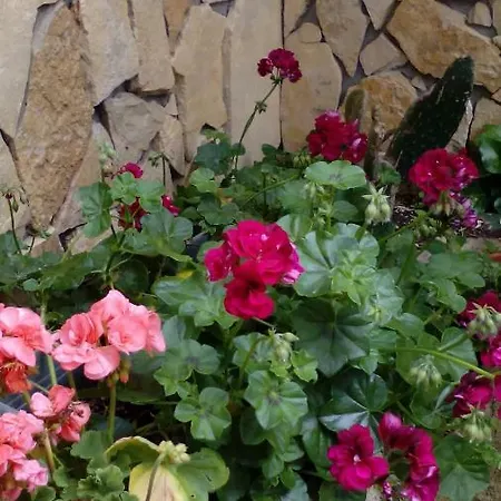 Peniche Blue Wave Affittacamere