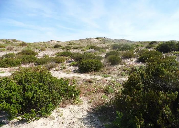 Peniche Blue Wave * 아토우기아다발레이아