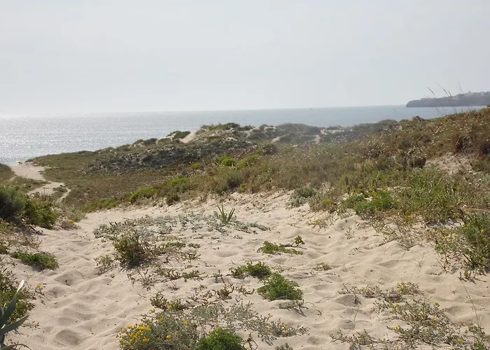 Peniche Blue Wave 게스트하우스 *