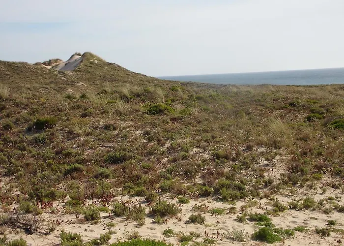 Peniche Blue Wave 게스트하우스 아토우기아다발레이아