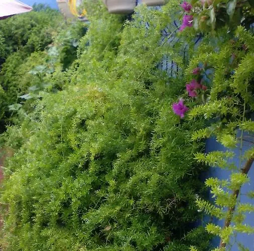 Peniche Blue Wave 아토우기아다발레이아