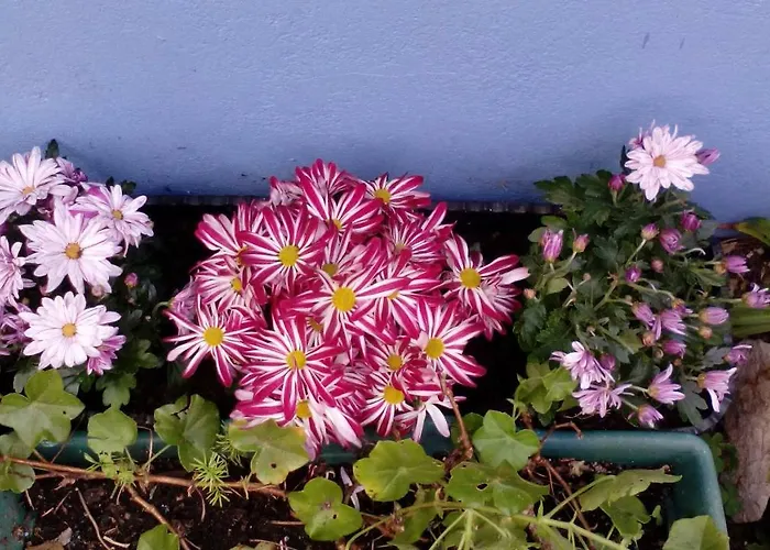 게스트하우스 Peniche Blue Wave 아토우기아다발레이아